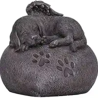 Pacific-Giftware-Pet-2024