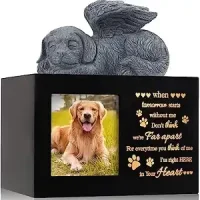 Pet-Urns-for-Ashes-2024